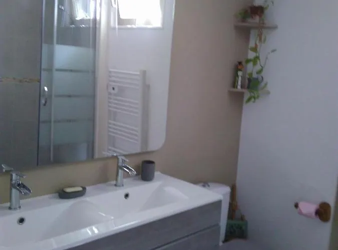 Les Grenouilles דירה *