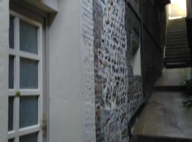 דירה Les Grenouilles הונפלר