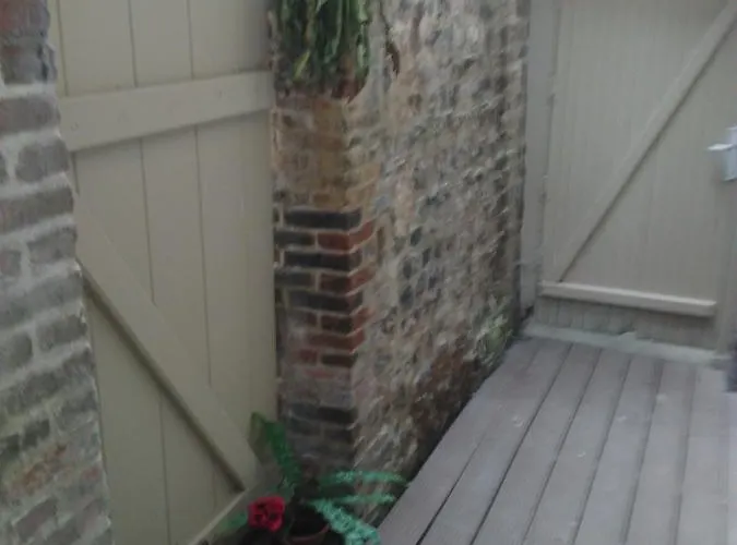 Les Grenouilles הונפלר