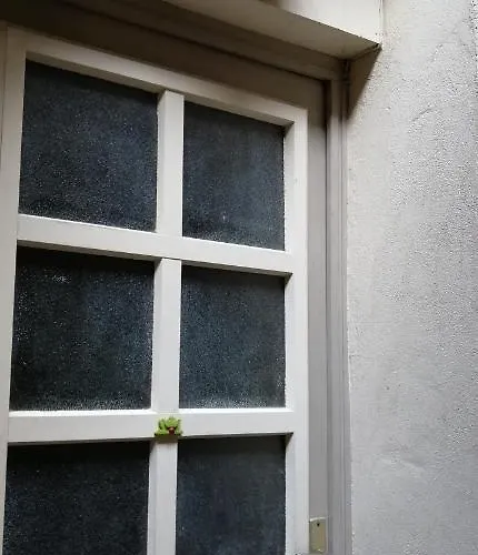 Les Grenouilles דירה