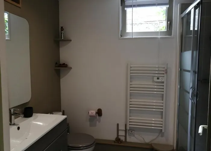 Les Grenouilles דירה *