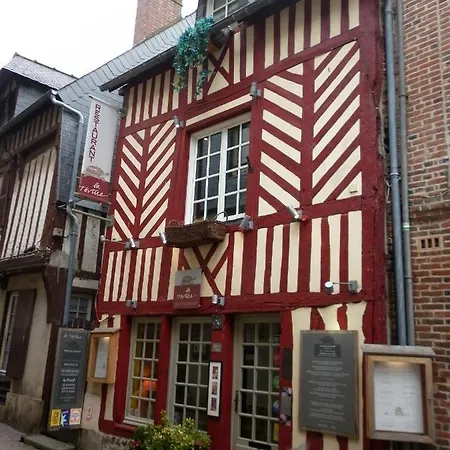 Les Grenouilles