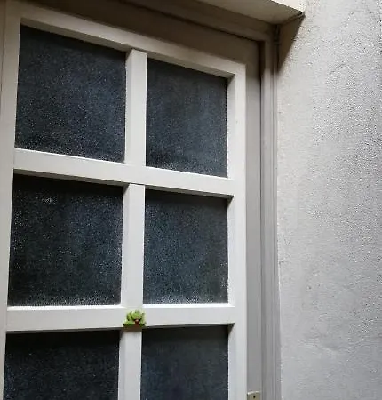 Les Grenouilles Apartamento