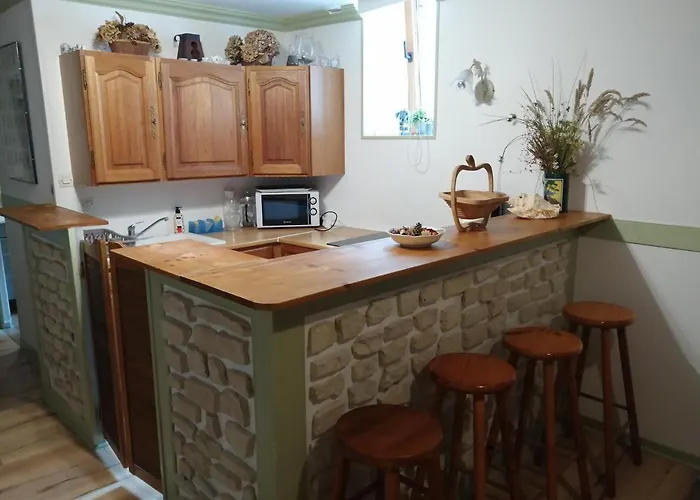 Les Grenouilles Apartament *