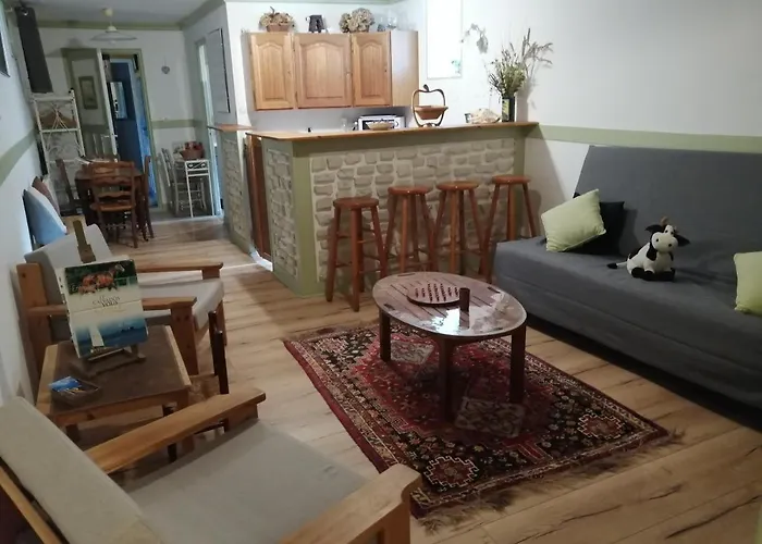 Les Grenouilles Apartament